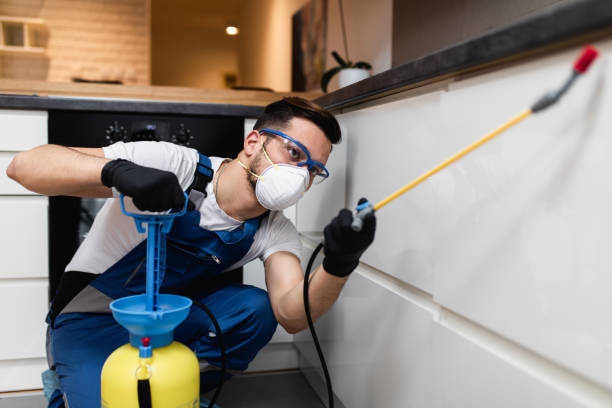 Best Mosquito Control Services  in Machias, WA