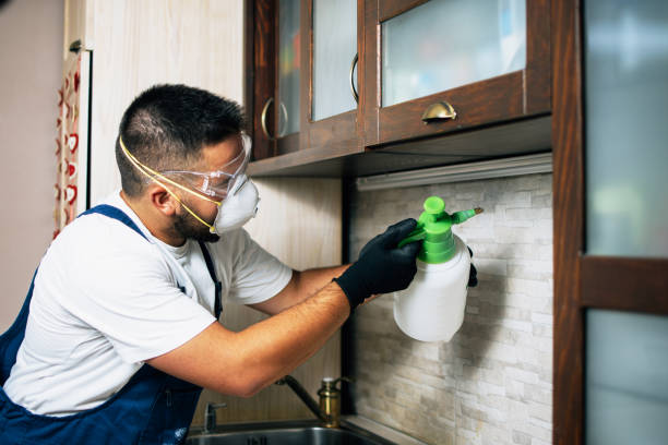 Best Emergency Pest Control  in Machias, WA