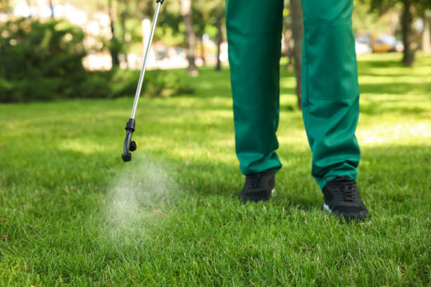 Best Insect Control  in Machias, WA