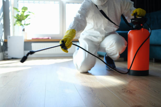 Best Affordable Pest Control Services  in Machias, WA