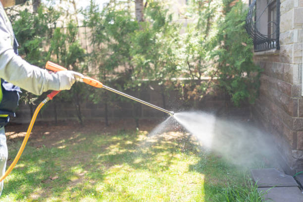 Best Insect Control  in Machias, WA