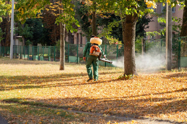 Best Exterminator Services  in Machias, WA