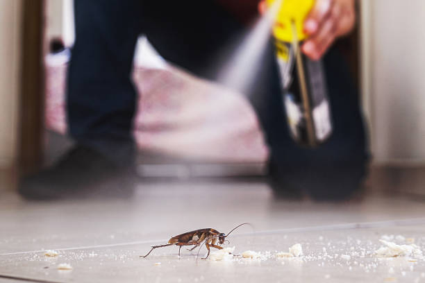 Best Local Pest Control Services  in Machias, WA